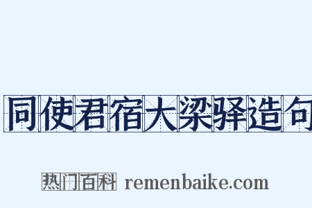 同使君宿大梁驿造句是什么意思的图片